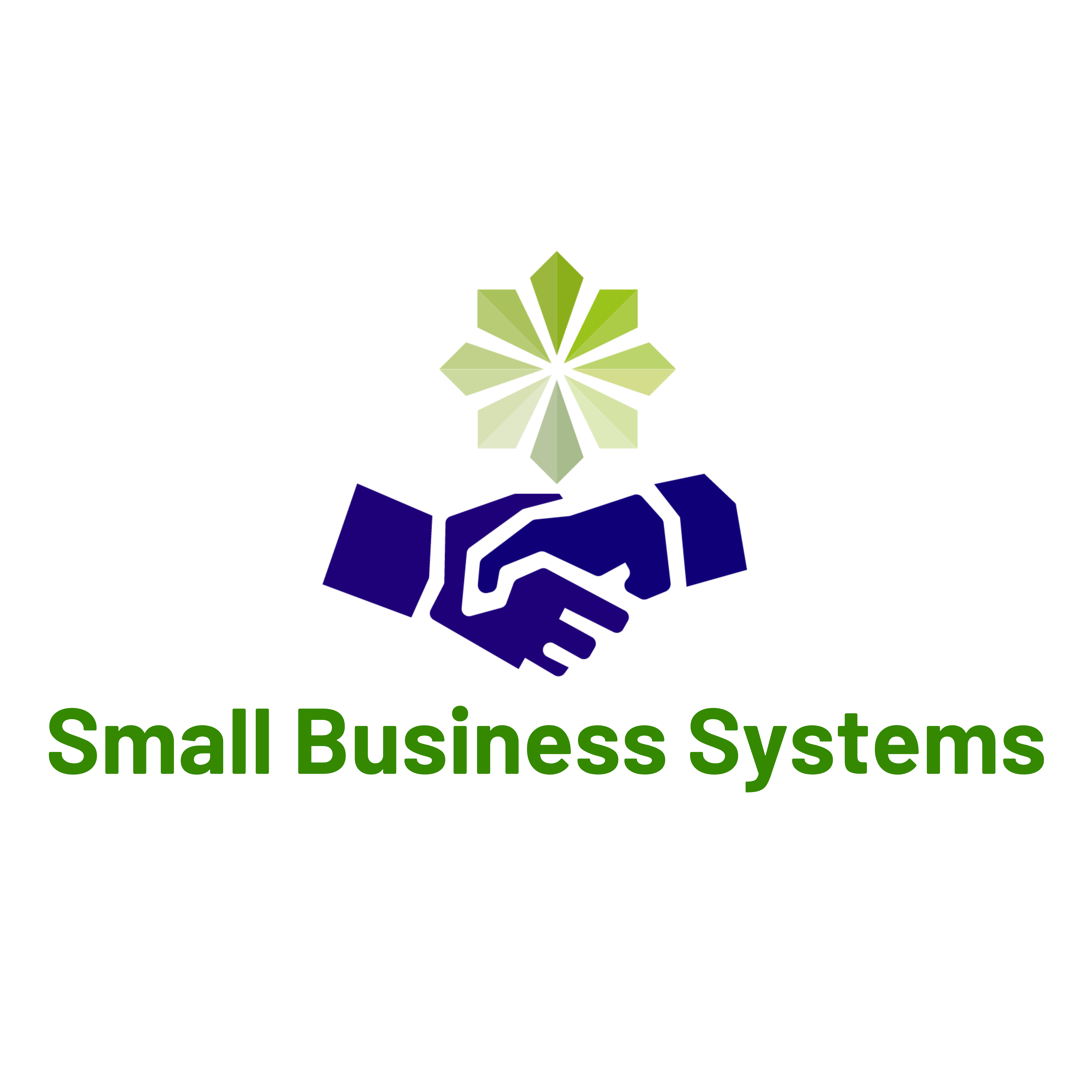 Small Business Systems logo